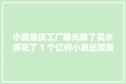 小鹏肇庆工厂曝光除了买水泥花了 1 个亿何小鹏还泄露了什么？ 小鹏肇庆工厂曝光除了买水泥花了 1 个亿何小鹏还泄露了什么？ 智能家居