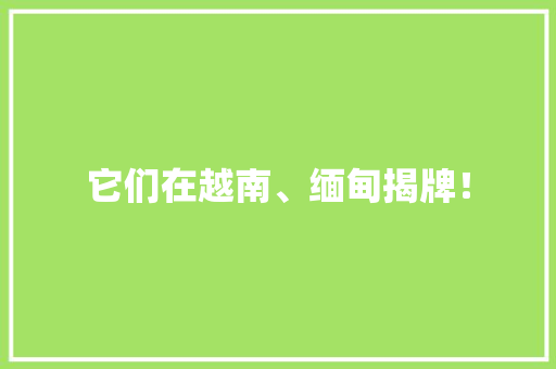它们在越南、缅甸揭牌！ 它们在越南、缅甸揭牌！ 互联通信