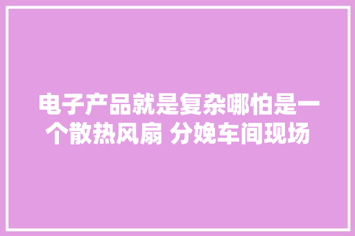 电子产品就是复杂哪怕是一个散热风扇 分娩车间现场