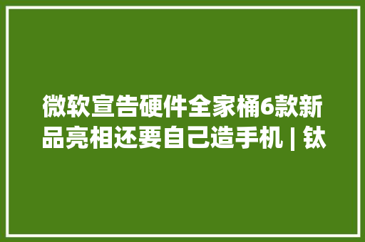 微软宣告硬件全家桶6款新品亮相还要自己造手机 | 钛快讯 微软宣告硬件全家桶6款新品亮相还要自己造手机 | 钛快讯 互联通信
