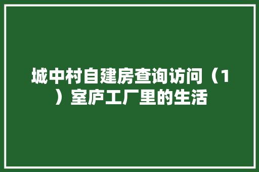 城中村自建房查询访问（1）室庐工厂里的生活