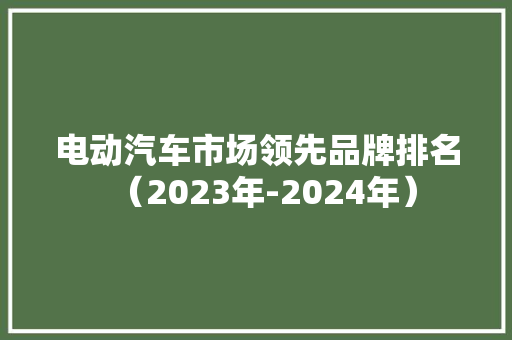 电动汽车市场领先品牌排名（2023年-2024年）
