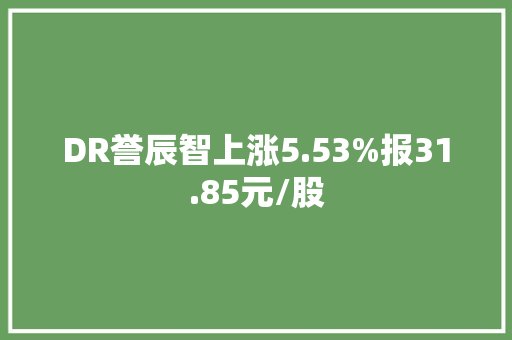 DR誉辰智上涨5.53%报31.85元/股