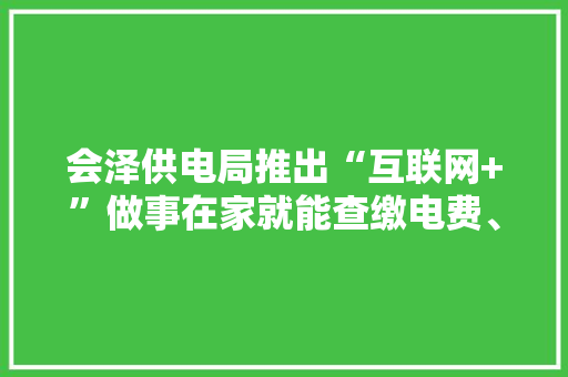 会泽供电局推出“互联网+”做事在家就能查缴电费、办营业、查停电