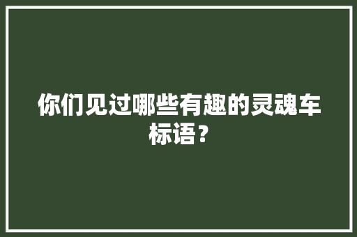 你们见过哪些有趣的灵魂车标语？
