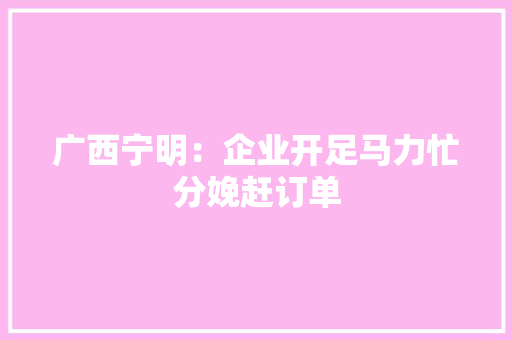 广西宁明：企业开足马力忙分娩赶订单 广西宁明：企业开足马力忙分娩赶订单 互联通信