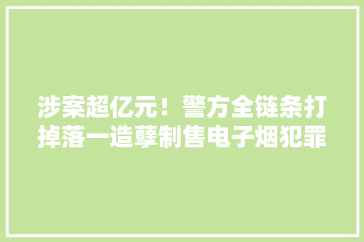 涉案超亿元！警方全链条打掉落一造孽制售电子烟犯罪团伙