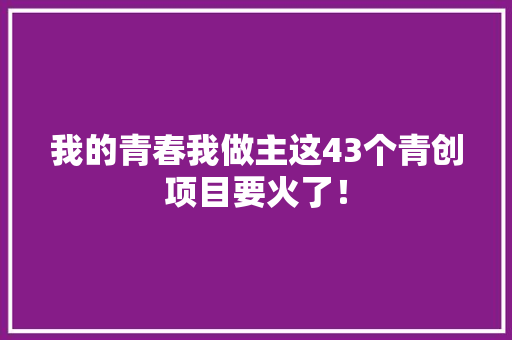 我的青春我做主这43个青创项目要火了！