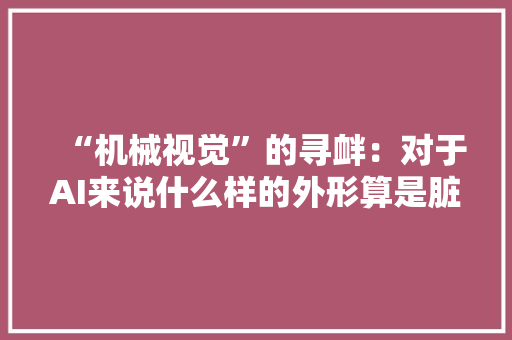 “机械视觉”的寻衅：对于AI来说什么样的外形算是脏污