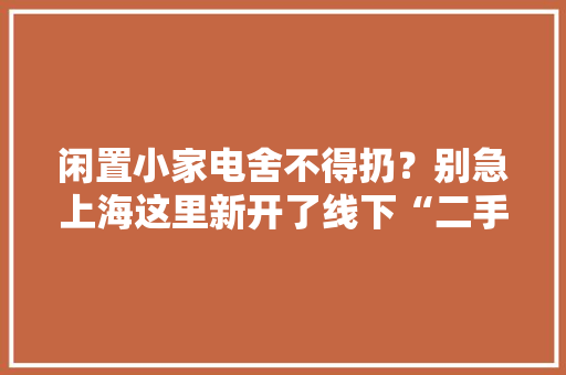 闲置小家电舍不得扔？别急上海这里新开了线下“二手货淘宝地”