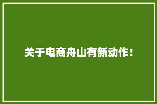 关于电商舟山有新动作！