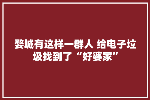 婺城有这样一群人 给电子垃圾找到了“好婆家” 婺城有这样一群人 给电子垃圾找到了“好婆家” 智能科技