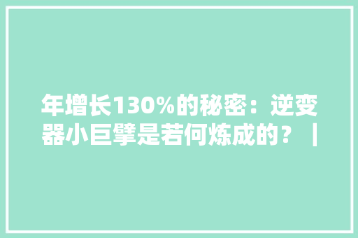 年增长130%的秘密：逆变器小巨擘是若何炼成的？｜36碳焦点