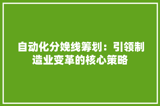 自动化分娩线筹划：引领制造业变革的核心策略