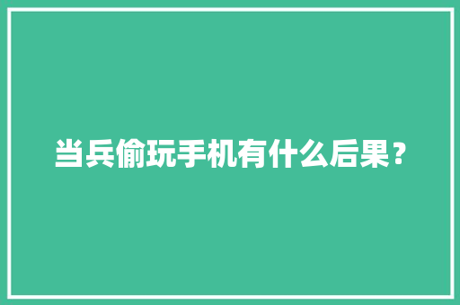当兵偷玩手机有什么后果？ 当兵偷玩手机有什么后果？ 智能家居