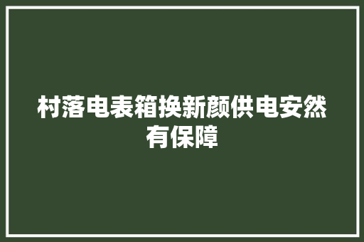 村落电表箱换新颜供电安然有保障 村落电表箱换新颜供电安然有保障 互联通信