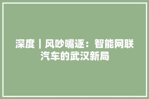 深度｜风吵嘴逐：智能网联汽车的武汉新局 深度｜风吵嘴逐：智能网联汽车的武汉新局 智能科技