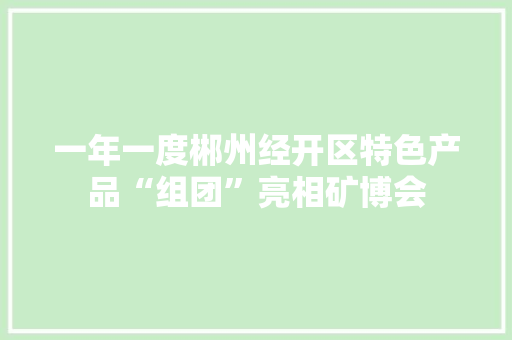 一年一度郴州经开区特色产品“组团”亮相矿博会