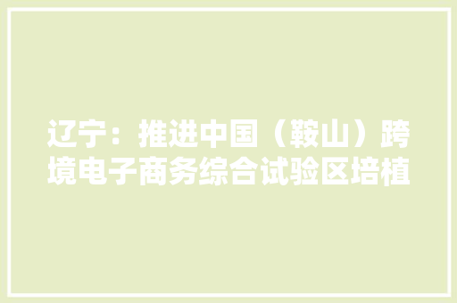辽宁：推进中国（鞍山）跨境电子商务综合试验区培植 打造东北贸易数字化先行区