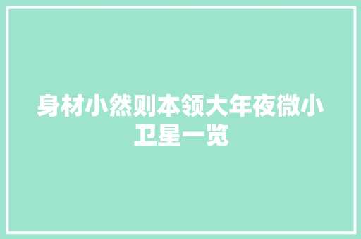 身材小然则本领大年夜微小卫星一览