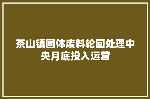 茶山镇固体废料轮回处理中央月底投入运营 茶山镇固体废料轮回处理中央月底投入运营 人工智能
