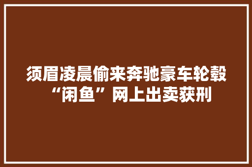 须眉凌晨偷来奔驰豪车轮毂 “闲鱼”网上出卖获刑 须眉凌晨偷来奔驰豪车轮毂 “闲鱼”网上出卖获刑 智能家居