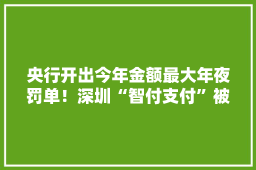 央行开出今年金额最大年夜罚单！深圳“智付支付”被罚2561万 央行开出今年金额最大年夜罚单！深圳“智付支付”被罚2561万 智能科技