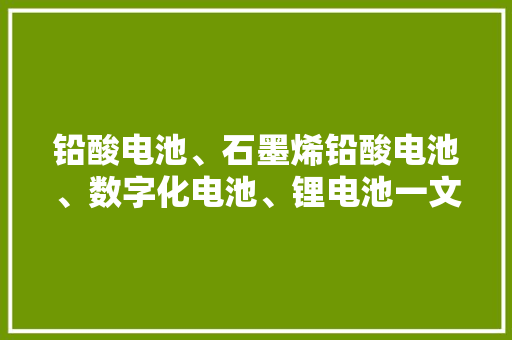 铅酸电池、石墨烯铅酸电池、数字化电池、锂电池一文教你怎么选