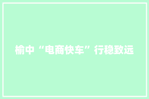 榆中“电商快车”行稳致远 榆中“电商快车”行稳致远 智能科技