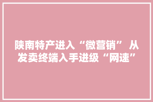 陕南特产进入“微营销” 从发卖终端入手进级“网速” 陕南特产进入“微营销” 从发卖终端入手进级“网速” 智能科技