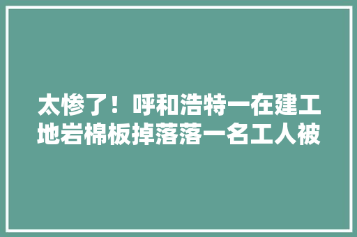 太惨了！呼和浩特一在建工地岩棉板掉落落一名工人被砸当场身亡 太惨了！呼和浩特一在建工地岩棉板掉落落一名工人被砸当场身亡 人工智能