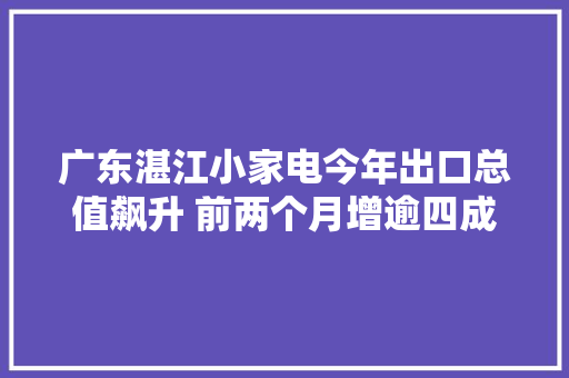 广东湛江小家电今年出口总值飙升 前两个月增逾四成 广东湛江小家电今年出口总值飙升 前两个月增逾四成 人工智能