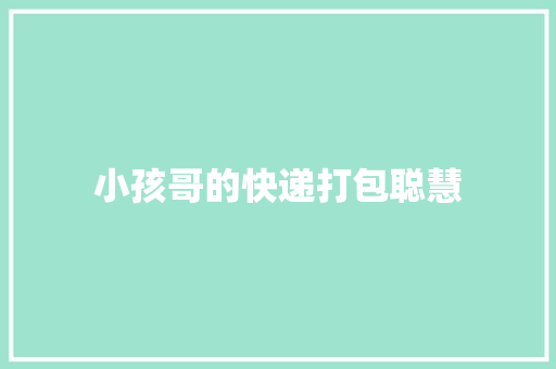 小孩哥的快递打包聪慧