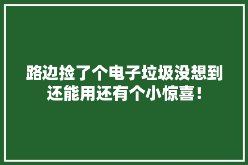 路边捡了个电子垃圾没想到还能用还有个小惊喜！ 路边捡了个电子垃圾没想到还能用还有个小惊喜！ 智能家居