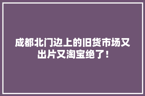 成都北门边上的旧货市场又出片又淘宝绝了！ 成都北门边上的旧货市场又出片又淘宝绝了！ 智能科技