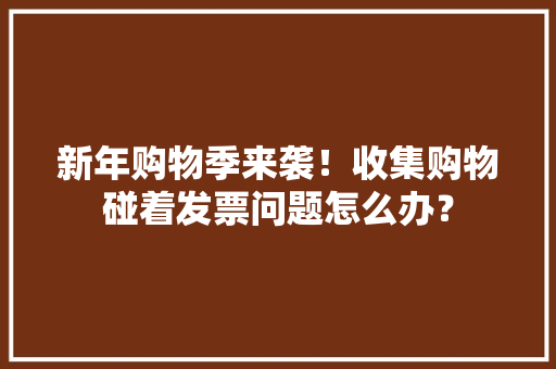 新年购物季来袭！收集购物碰着发票问题怎么办？ 新年购物季来袭！收集购物碰着发票问题怎么办？ 人工智能