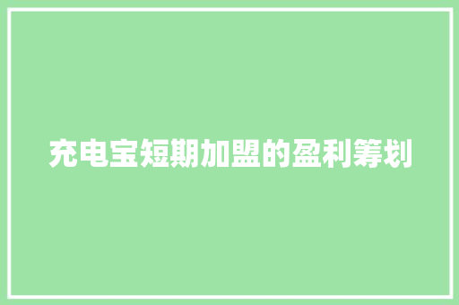 充电宝短期加盟的盈利筹划