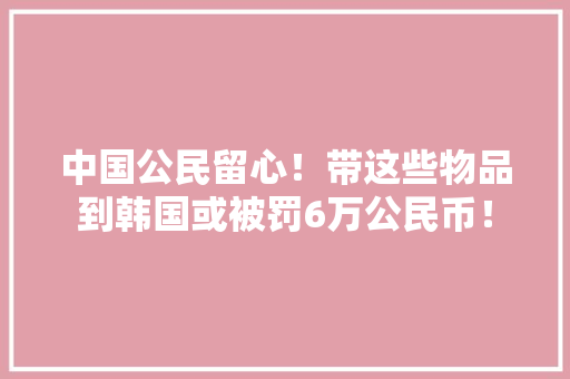 中国公民留心！带这些物品到韩国或被罚6万公民币！ 中国公民留心！带这些物品到韩国或被罚6万公民币！ 人工智能