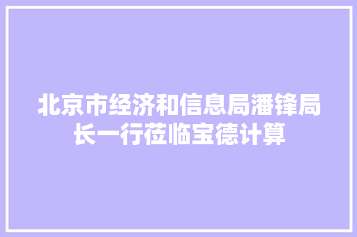 北京市经济和信息局潘锋局长一行莅临宝德计算