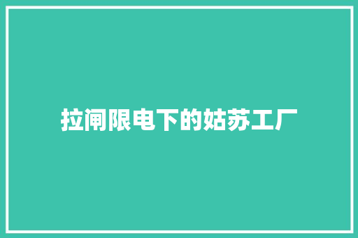拉闸限电下的姑苏工厂