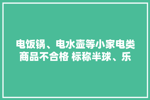 电饭锅、电水壶等小家电类商品不合格 标称半球、乐仕达、小霸王等在列 电饭锅、电水壶等小家电类商品不合格 标称半球、乐仕达、小霸王等在列 人工智能