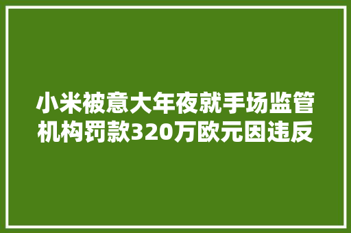 小米被意大年夜就手场监管机构罚款320万欧元因违反保修律例 小米被意大年夜就手场监管机构罚款320万欧元因违反保修律例 智能科技