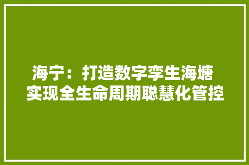 海宁：打造数字孪生海塘 实现全生命周期聪慧化管控 海宁：打造数字孪生海塘 实现全生命周期聪慧化管控 互联通信