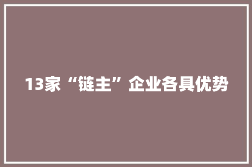13家“链主”企业各具优势 13家“链主”企业各具优势 互联通信