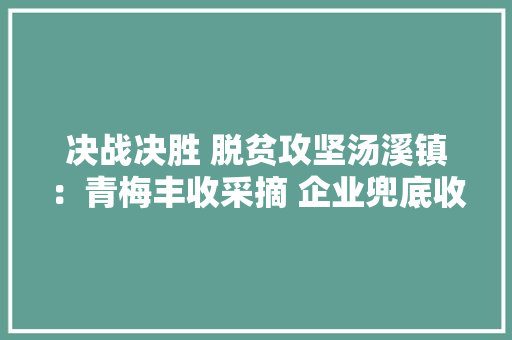 决战决胜 脱贫攻坚汤溪镇：青梅丰收采摘 企业兜底收购 决战决胜 脱贫攻坚汤溪镇：青梅丰收采摘 企业兜底收购 智能家居