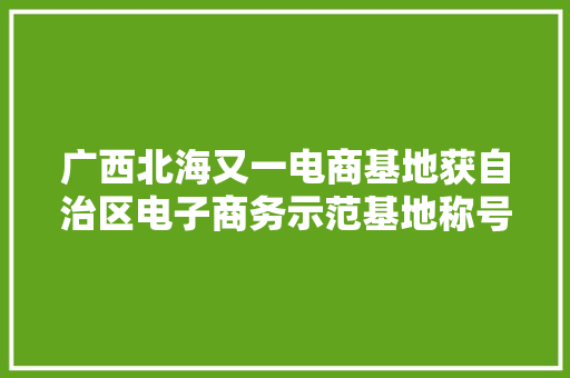 广西北海又一电商基地获自治区电子商务示范基地称号 广西北海又一电商基地获自治区电子商务示范基地称号 智能家居