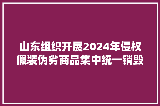 山东组织开展2024年侵权假装伪劣商品集中统一销毁行动 山东组织开展2024年侵权假装伪劣商品集中统一销毁行动 智能家居