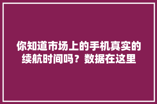 你知道市场上的手机真实的续航时间吗？数据在这里