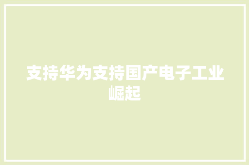 支持华为支持国产电子工业崛起 支持华为支持国产电子工业崛起 人工智能