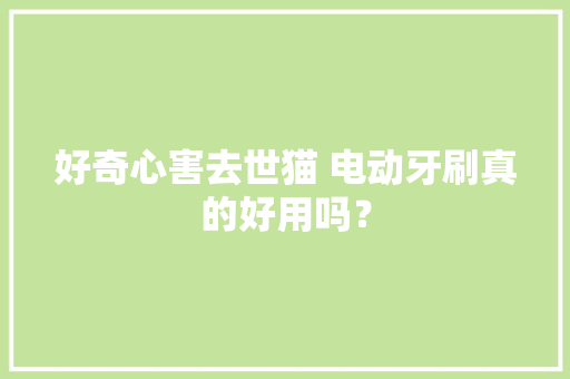 好奇心害去世猫 电动牙刷真的好用吗？ 好奇心害去世猫 电动牙刷真的好用吗？ 互联通信